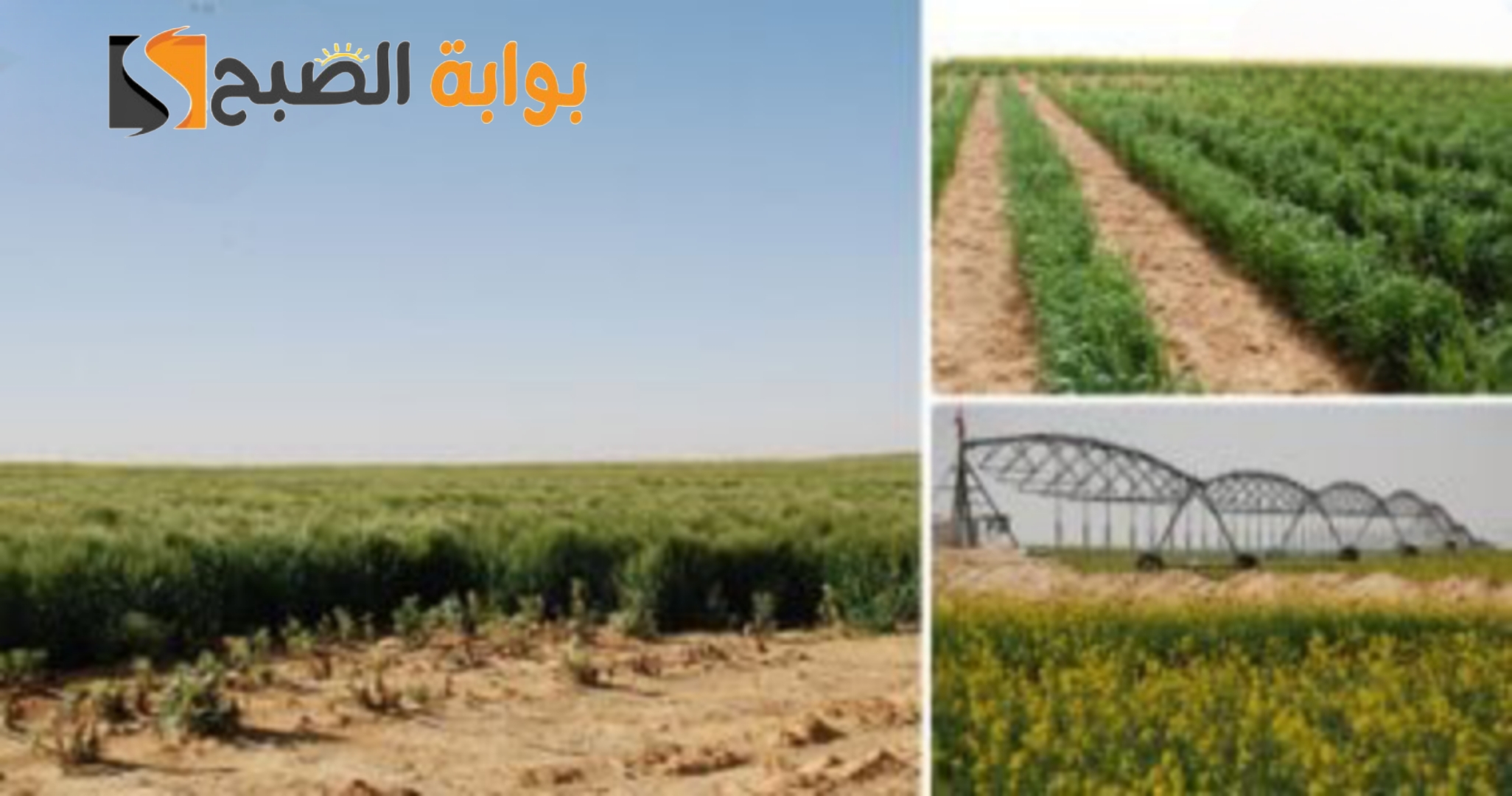 تنبيهات الإرشاد الزراعي بخصوص الطقس