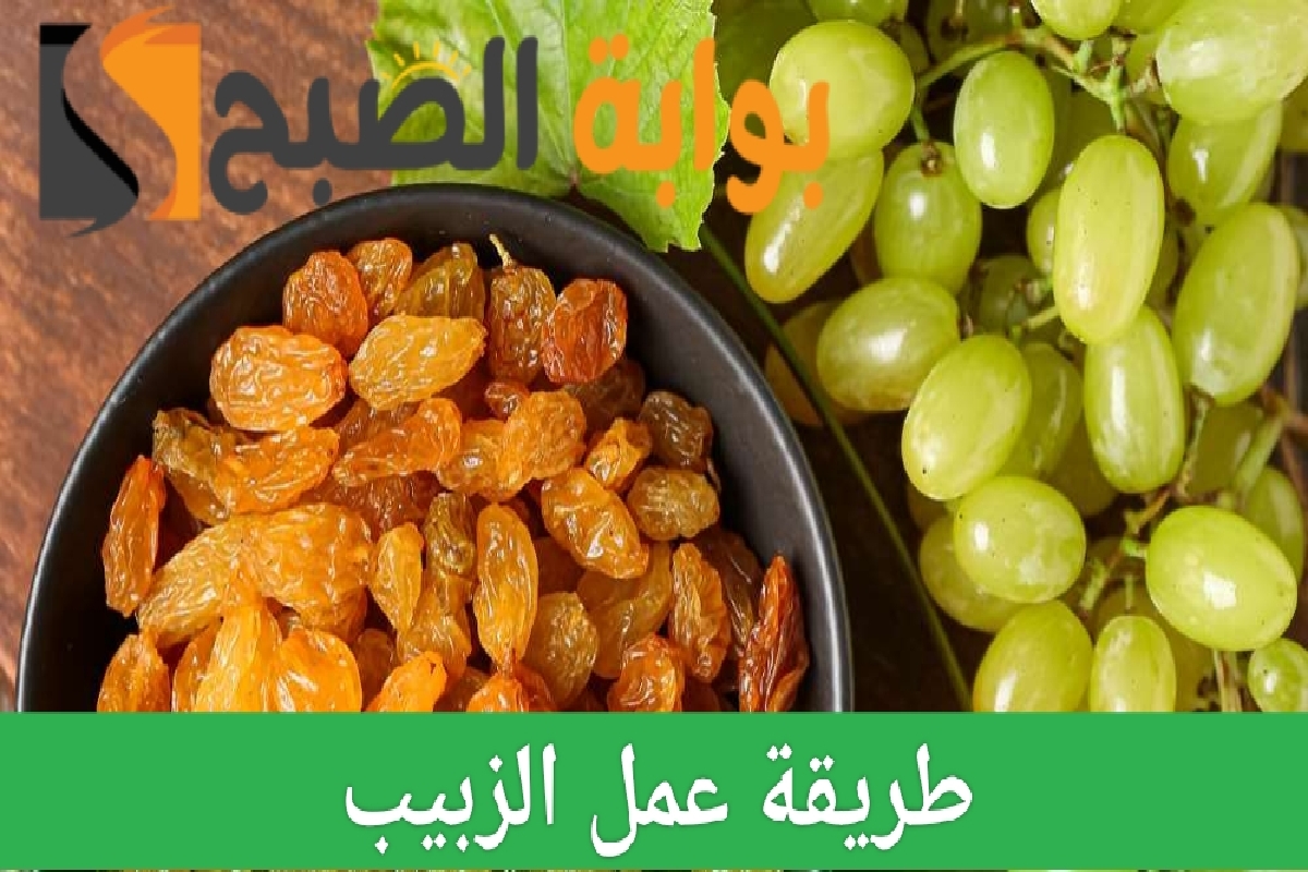طريقة عمل الزبيب