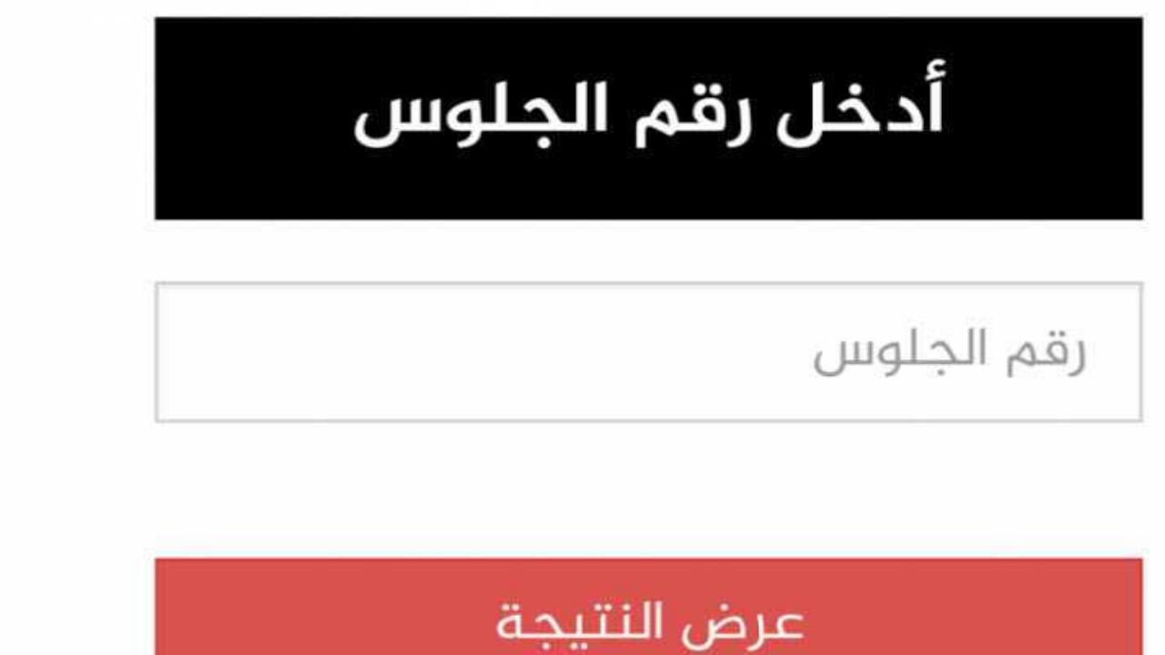 نتيجة الثانوية العامة 2024 بالاسم