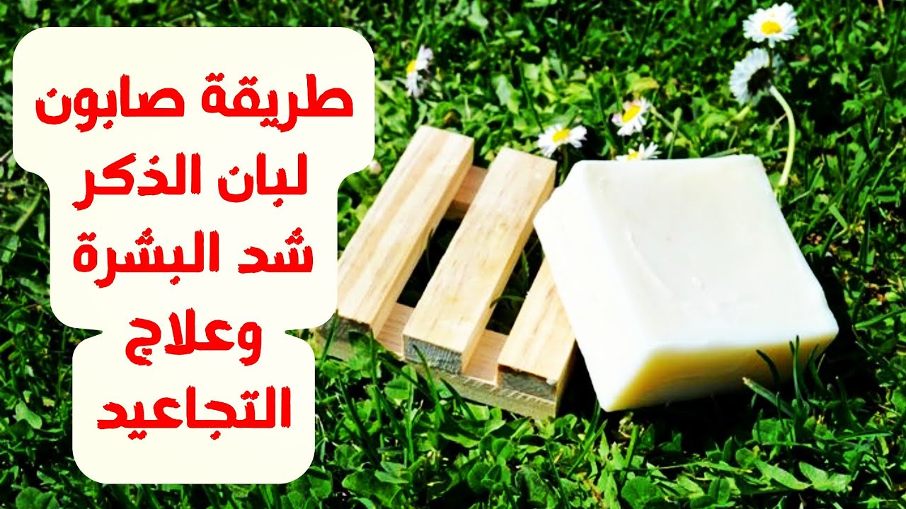 صابونة لبان الذكر