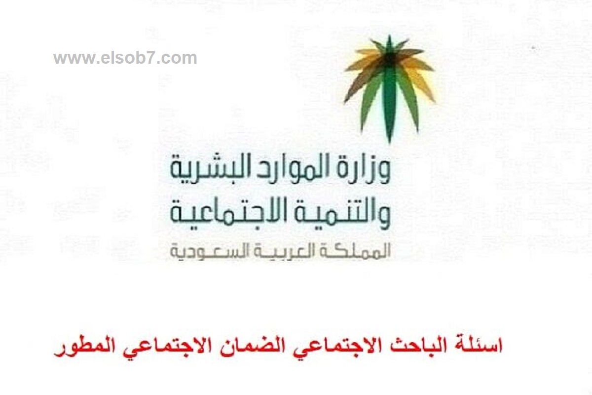 أسئلة الباحث الاجتماعي