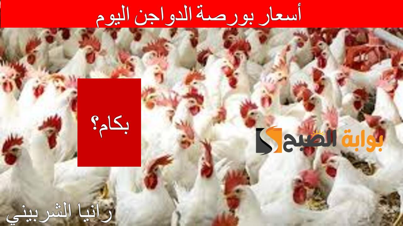 أسعار بورصة الدواجن اليوم