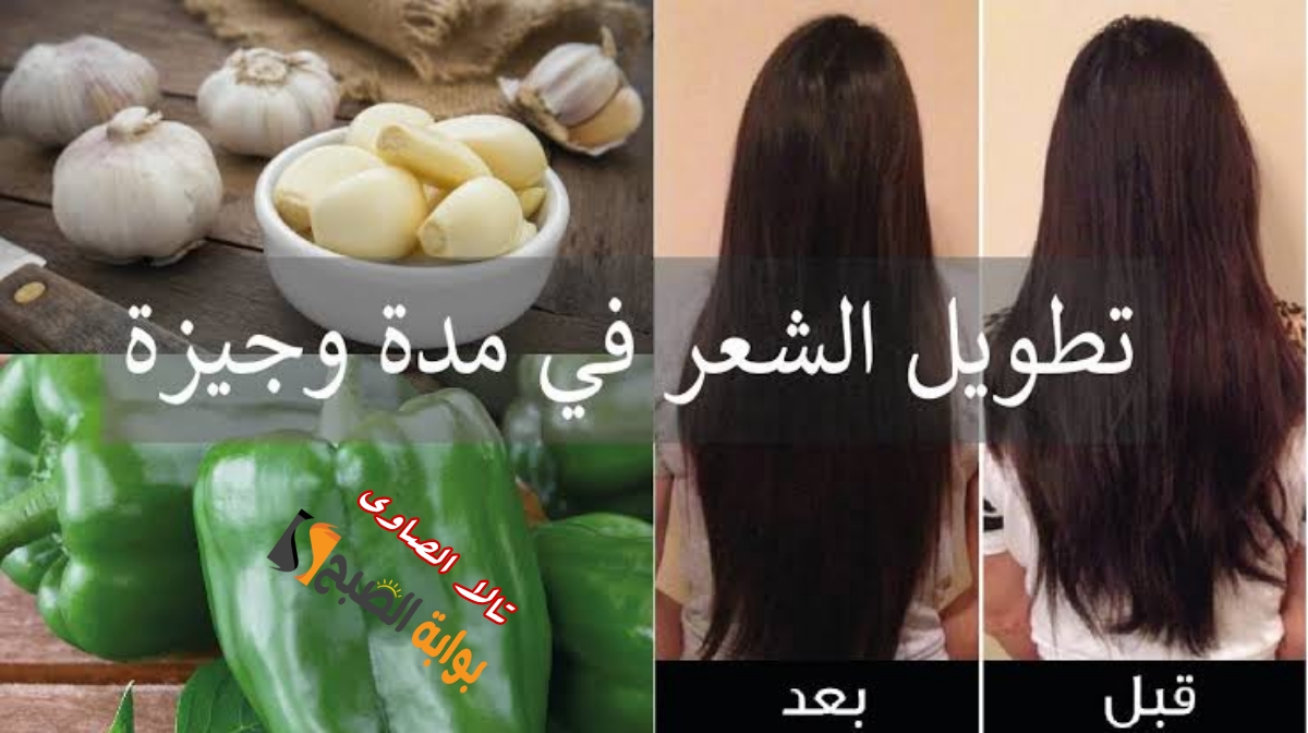 أقوى وأسرع زيت الفلفل الحلو المركز لتطويل الشعر وإنبات الفراغات في وقت قصير