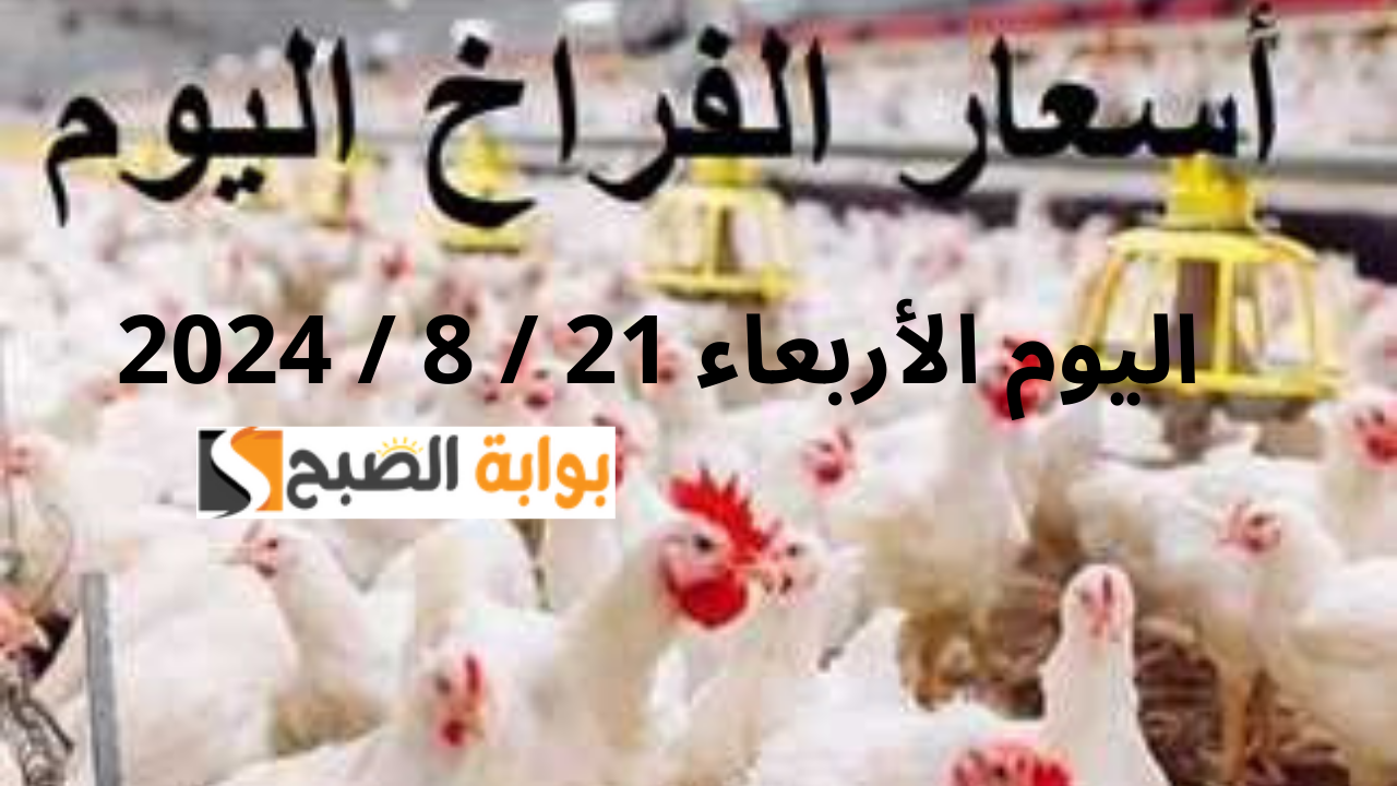 سعر الفراخ اليوم