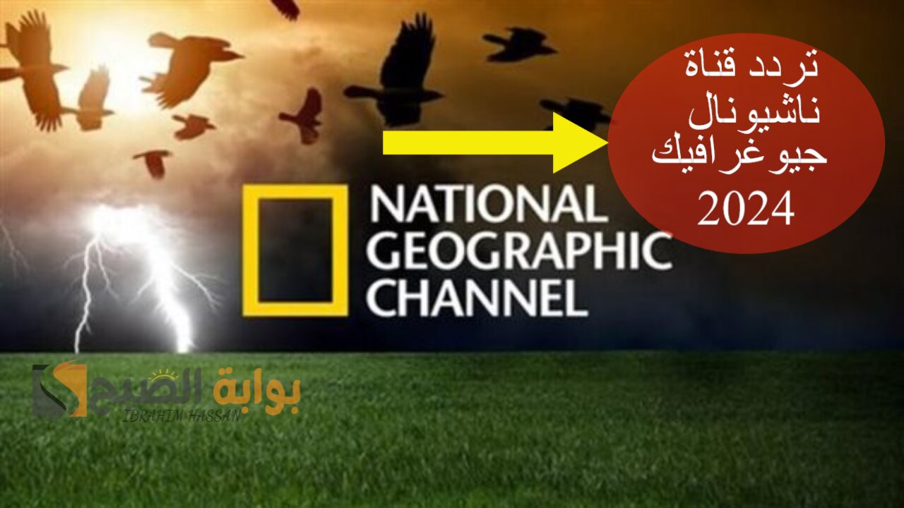 اتفرج على عالم الطبيعة.. نزل تردد قناة ناشيونال جيوغرافيك 2024 على النايل سات بجودة HD