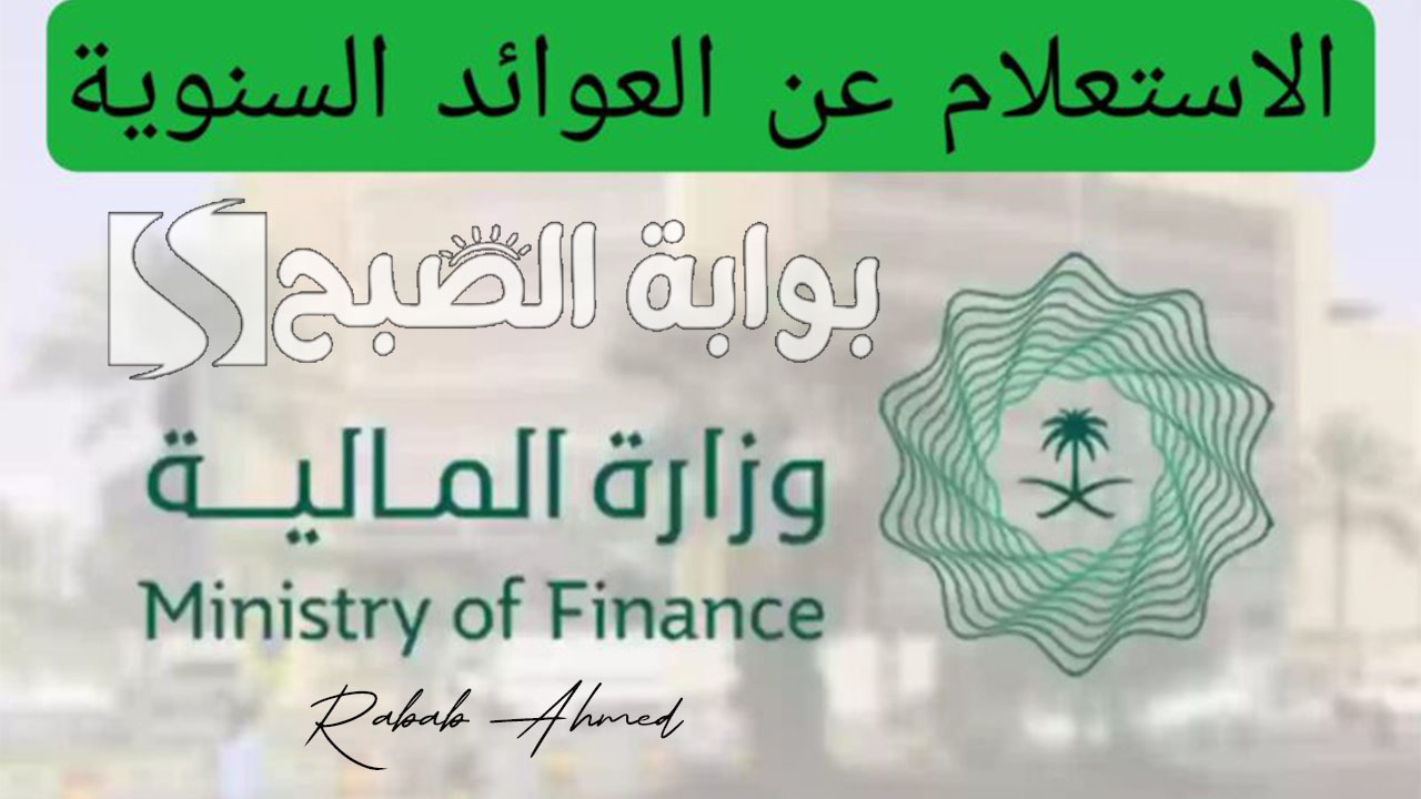 الاستعلام عن العوائد السنوية