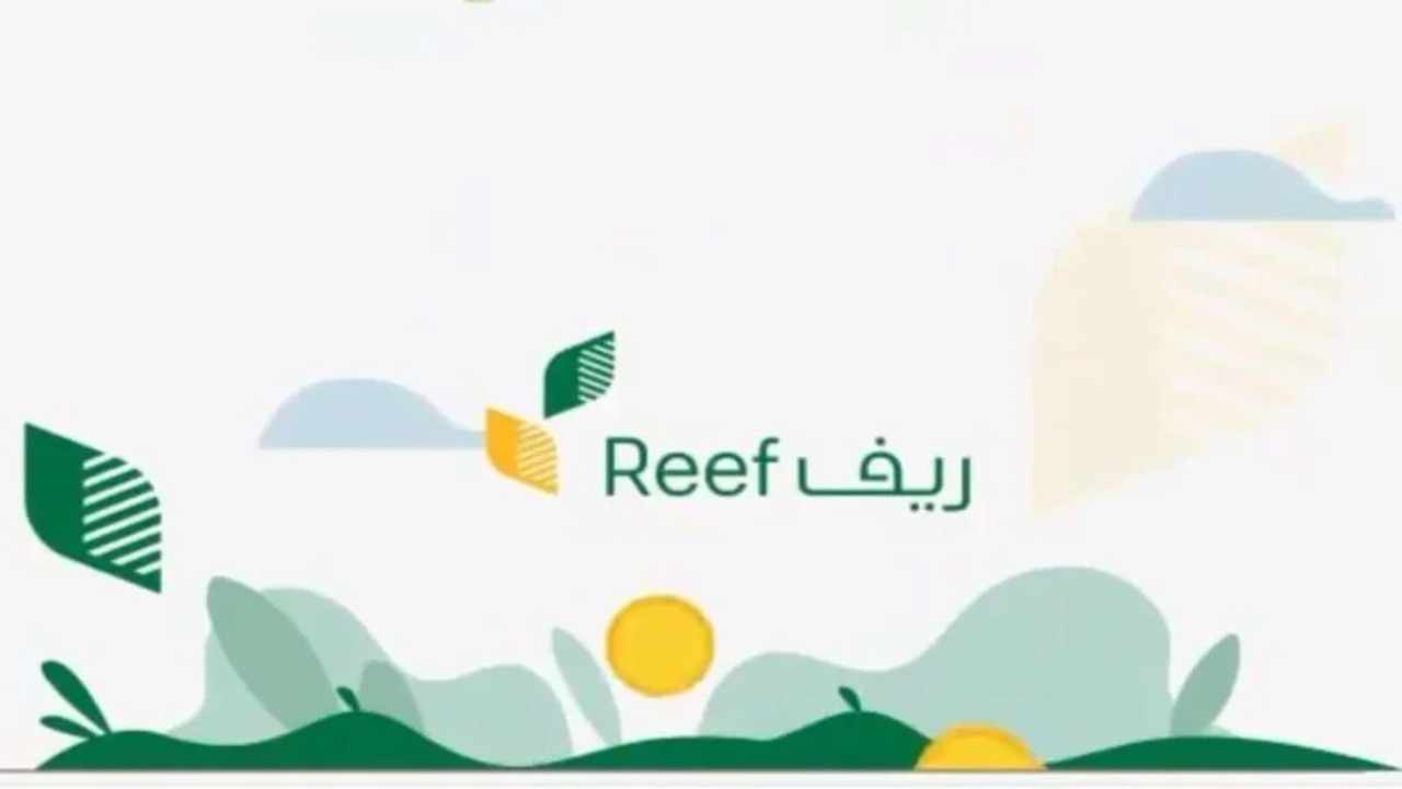 شروط دعم العسل