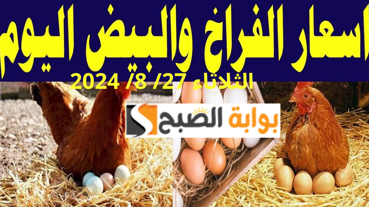سعر الفراخ اليوم