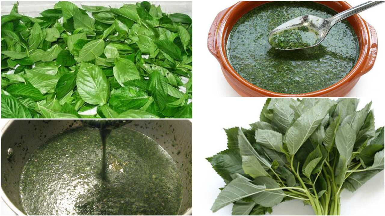 الملوخية