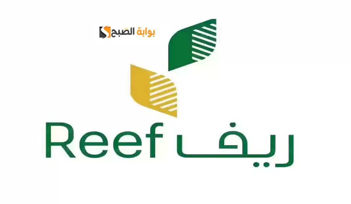 برنامج ريف استعلام المقبولين