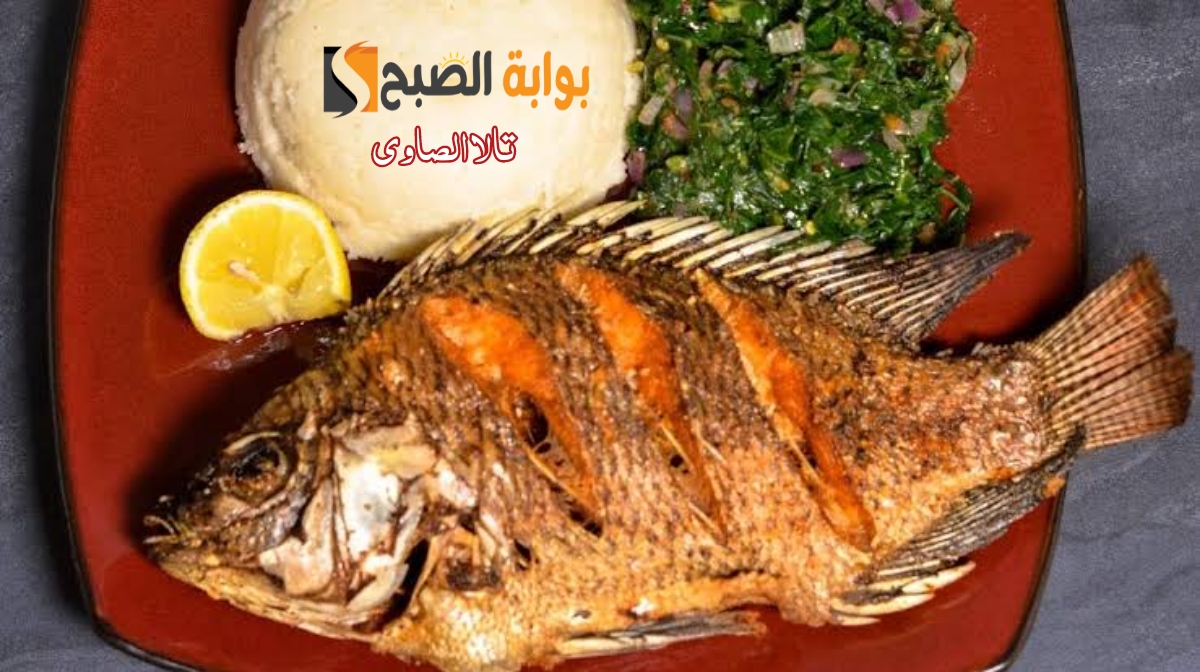 بسر تغميسة محلات الأسماك حضري ألذ سمك بلطي مقرمش بطعم لا يقاوم