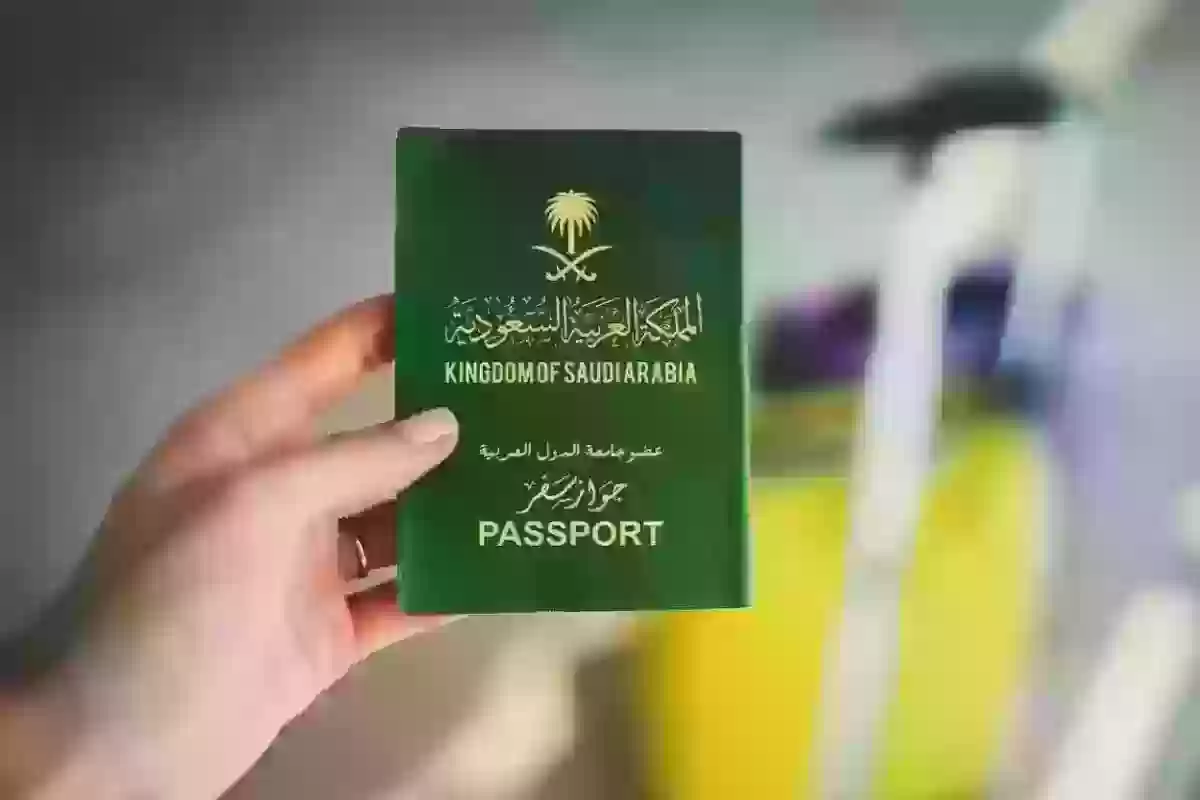 تأشيرات دخول المملكة العربية السعودية عبر منصة التأشيرات الإلكترونية