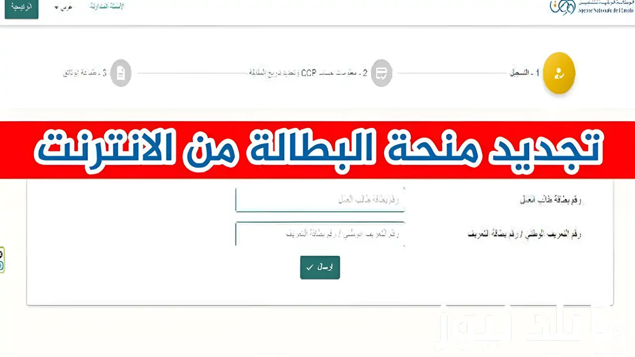تجديد منحة البطالة كل 6 شهور