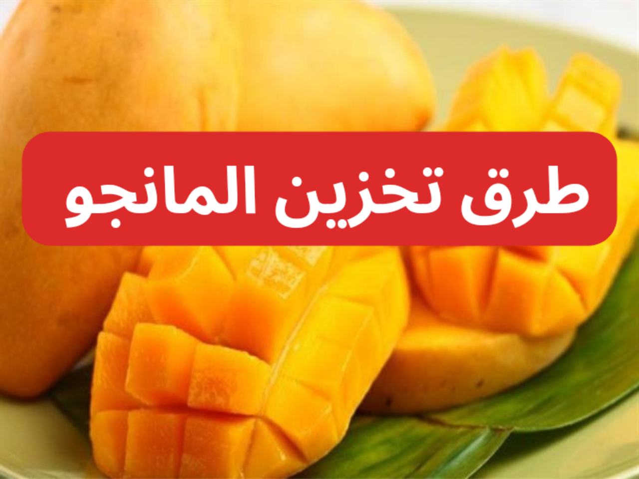 تخزين المانجو