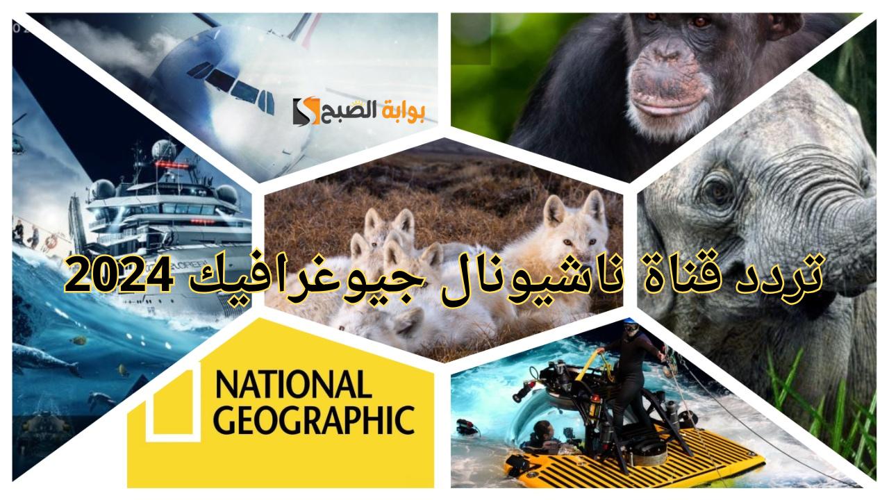 تردد قناة ناشيونال جيوغرافيك 2024 الجديد