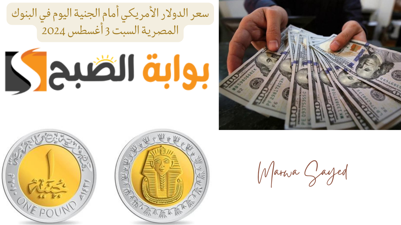 سعر الدولار الأمريكي أمام الجنية اليوم في البنوك المصرية