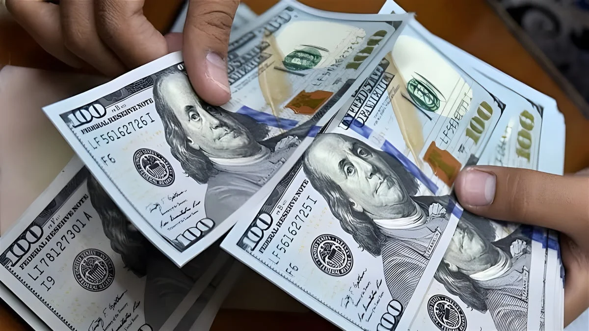 سعر الدولار اليوم في مصر 1