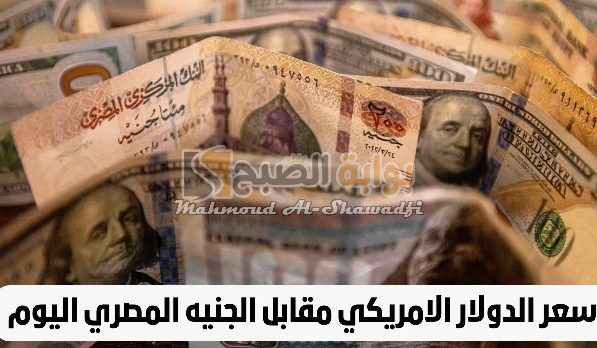 سعر الدولار اليوم مقابل الجنيه المصري الجمعة 30 أغسطس 2024