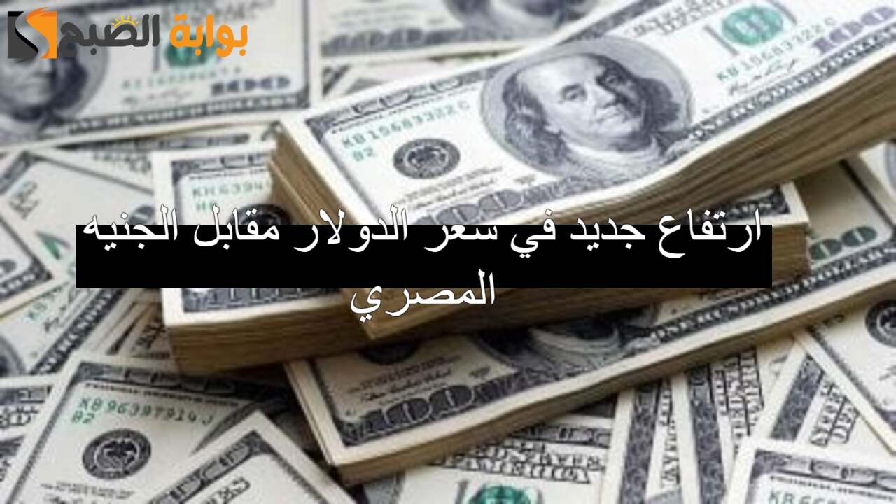 سعر الدولار مقابل الجنيه المصري