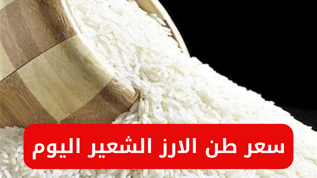 سعر طن الارز الشعير