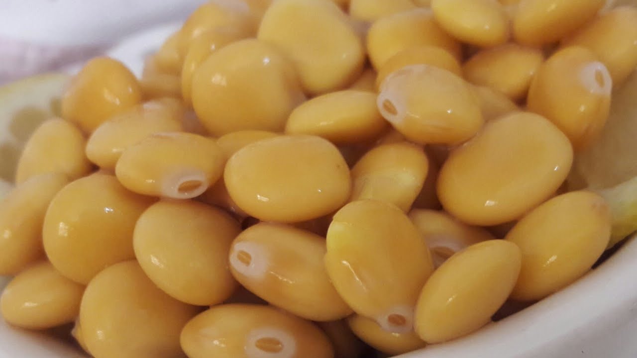 طريقة عمل الترمس