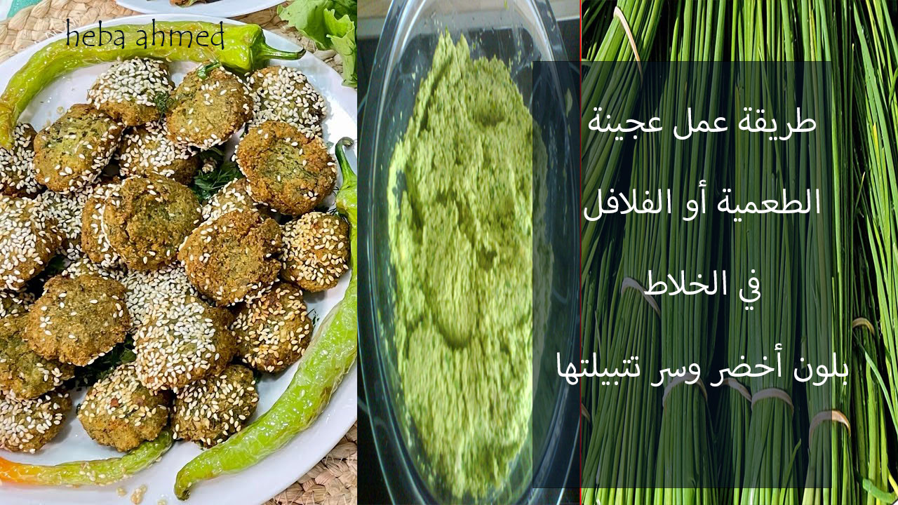 عجينة الطعمية أو الفلافل