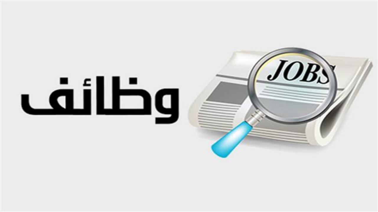 فرص عمل جديدة للفتيات بالإسكندرية والبحيرة
