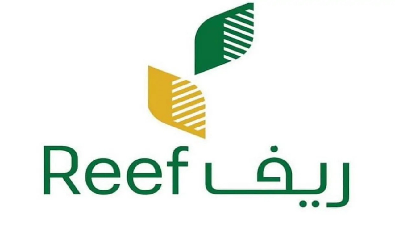 كم تكون مدة دراسة تقديم  الطلب في برنامج ريف