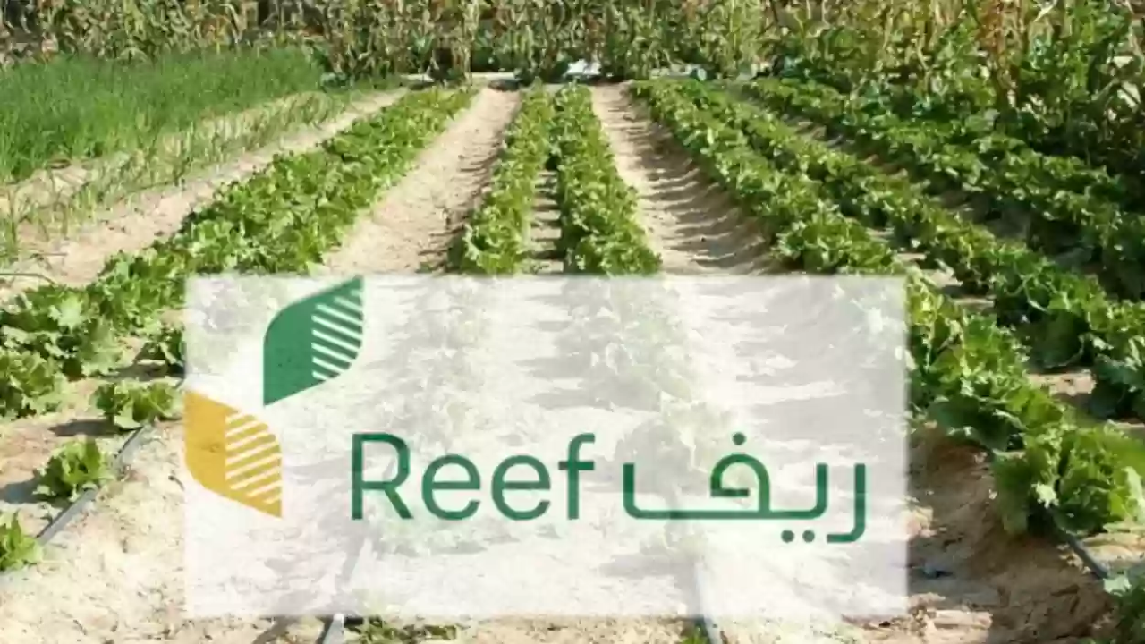كيفية التسجيل في دعم ريف 1446