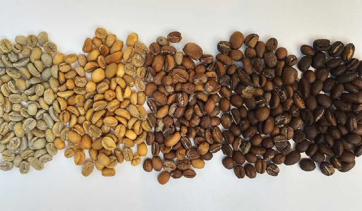 ما هو الفرق بين درجات تحميص القهوة