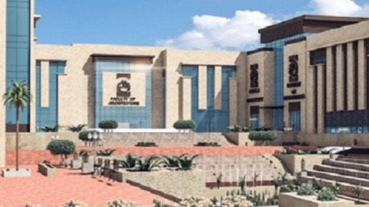 ما هي أرخص الجامعات الخاصة في مصر 2024؟