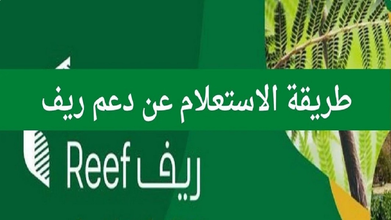 متطلبات التسجيل في دعم ريف لربات البيوت 1446