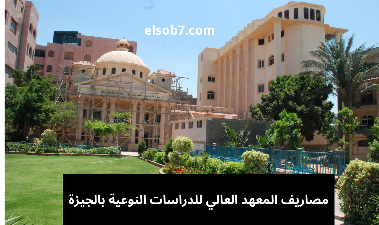 مصاريف المعهد العالي للدراسات النوعية بالجيزة
