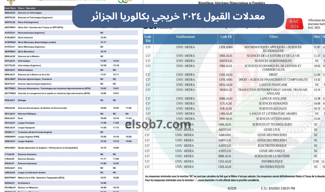 معدلات القبول ٢٠٢٤ خريجي بكالوريا الجزائر