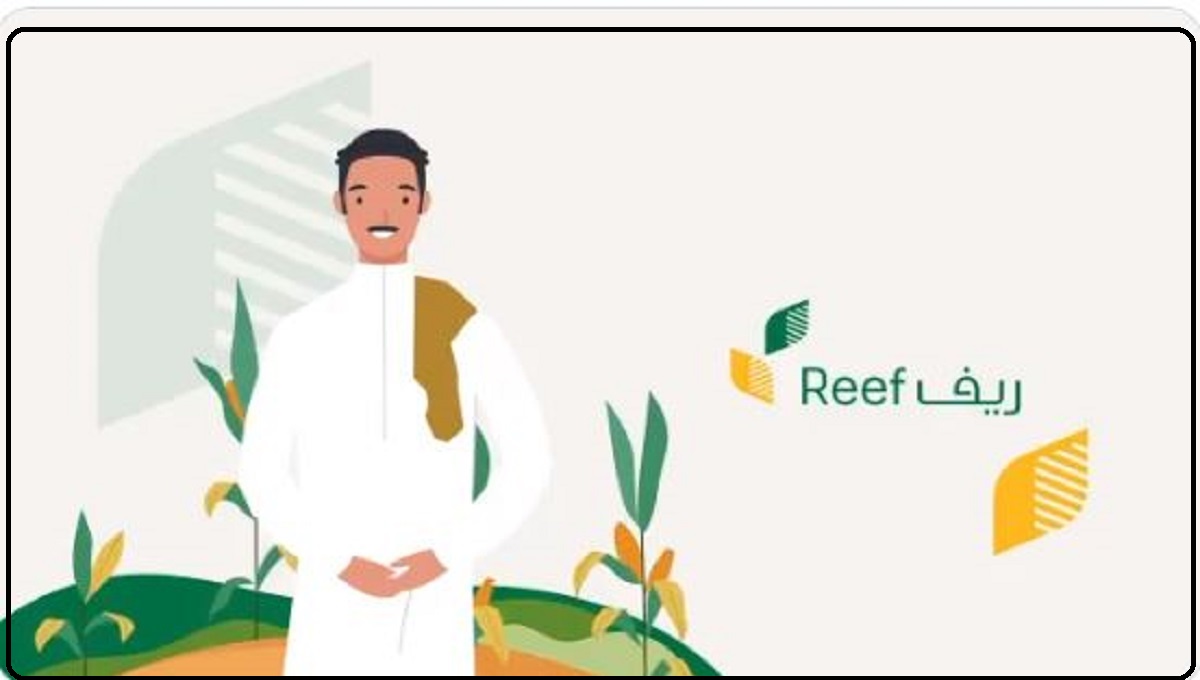 موعد صرف دعم ريف شهر سبتمبر