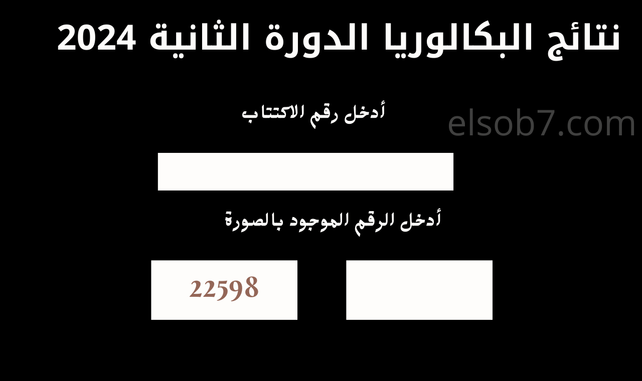 نتائج البكالوريا الدورة الثانية 2024