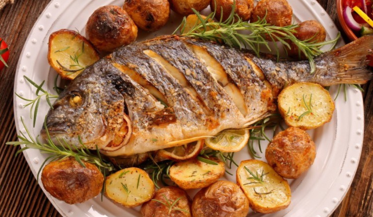 نص فقرتك 20240819 043137 ٠٠٠٠