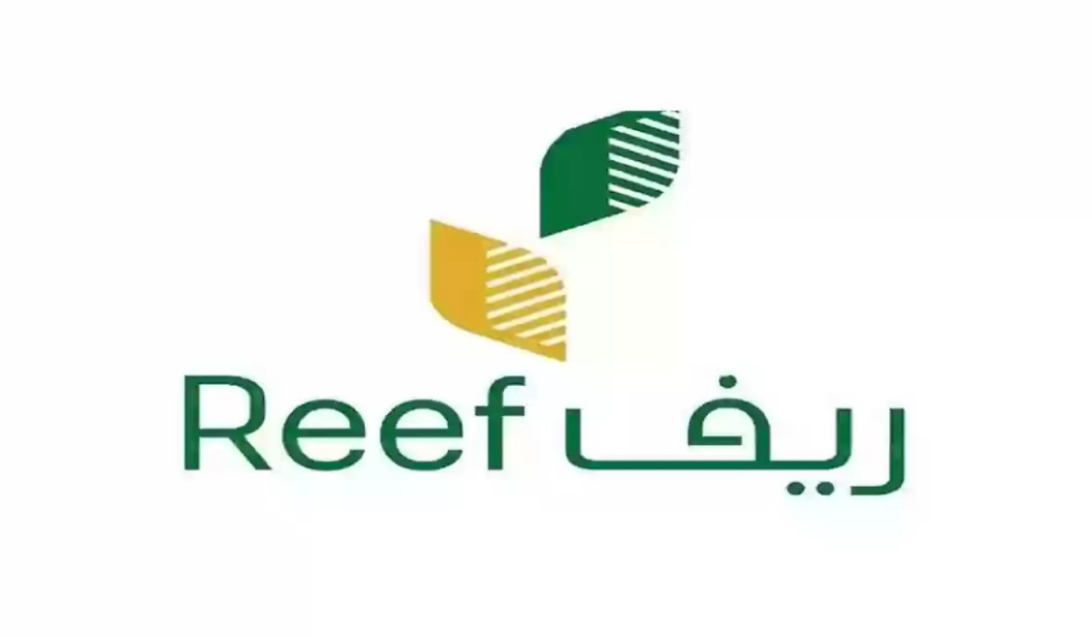 نص فقرتك 20240819 060639 ٠٠٠٠
