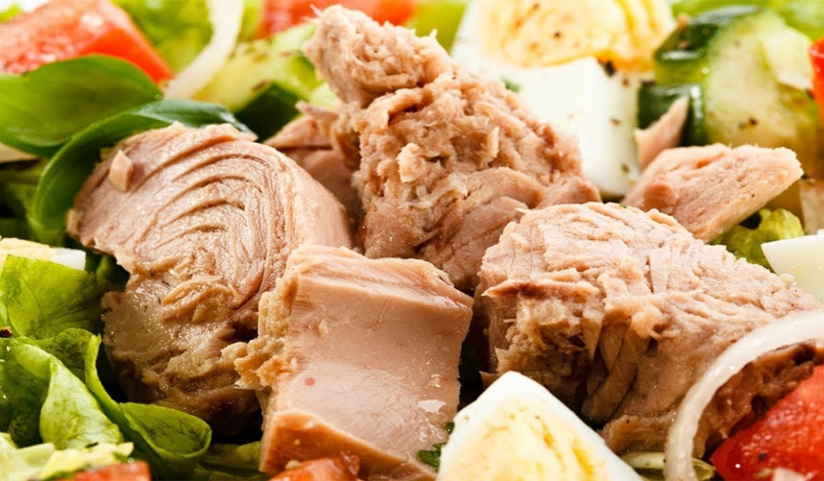 نص فقرتك 20240820 100254 ٠٠٠٠