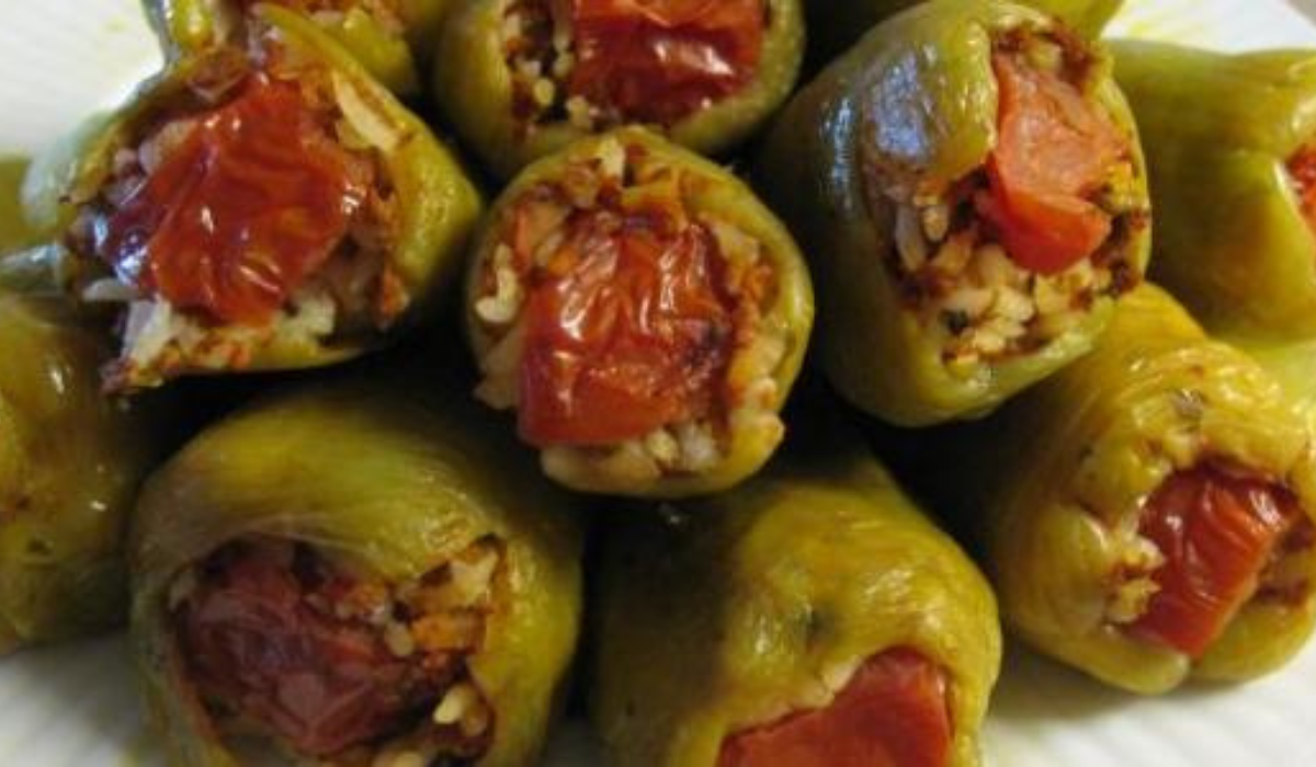 نص فقرتك 20240826 132315 ٠٠٠٠