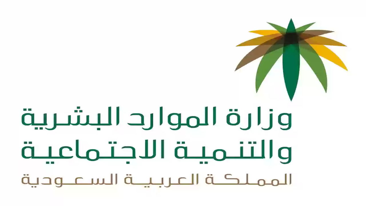 خطوات تسجيل الدخول إلى الضمان المطور عبر نفاذ