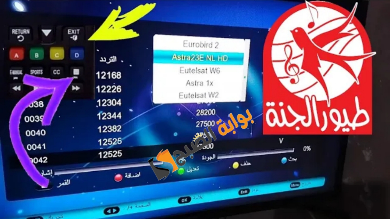 ٢٠٢٤٠٨٠٣ ٢٣٤٩٤٠