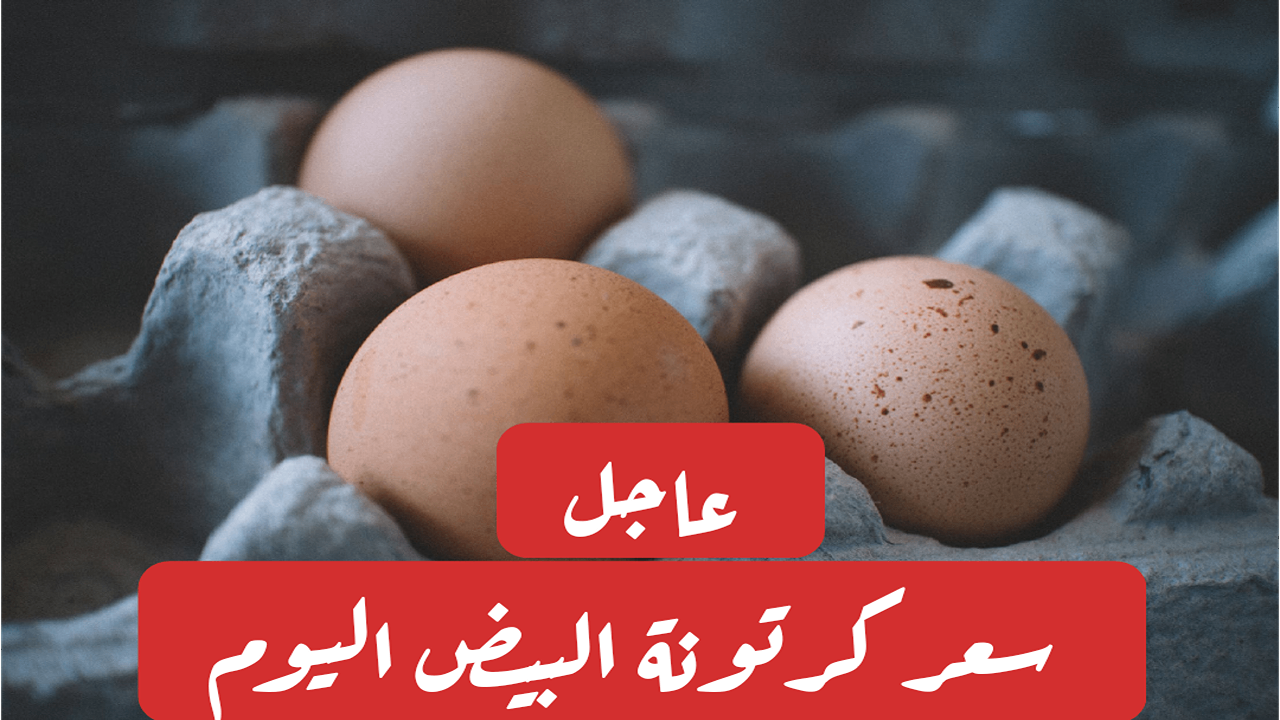 سعر كرتونة البيض اليوم الأحد 1 سبتمبر 