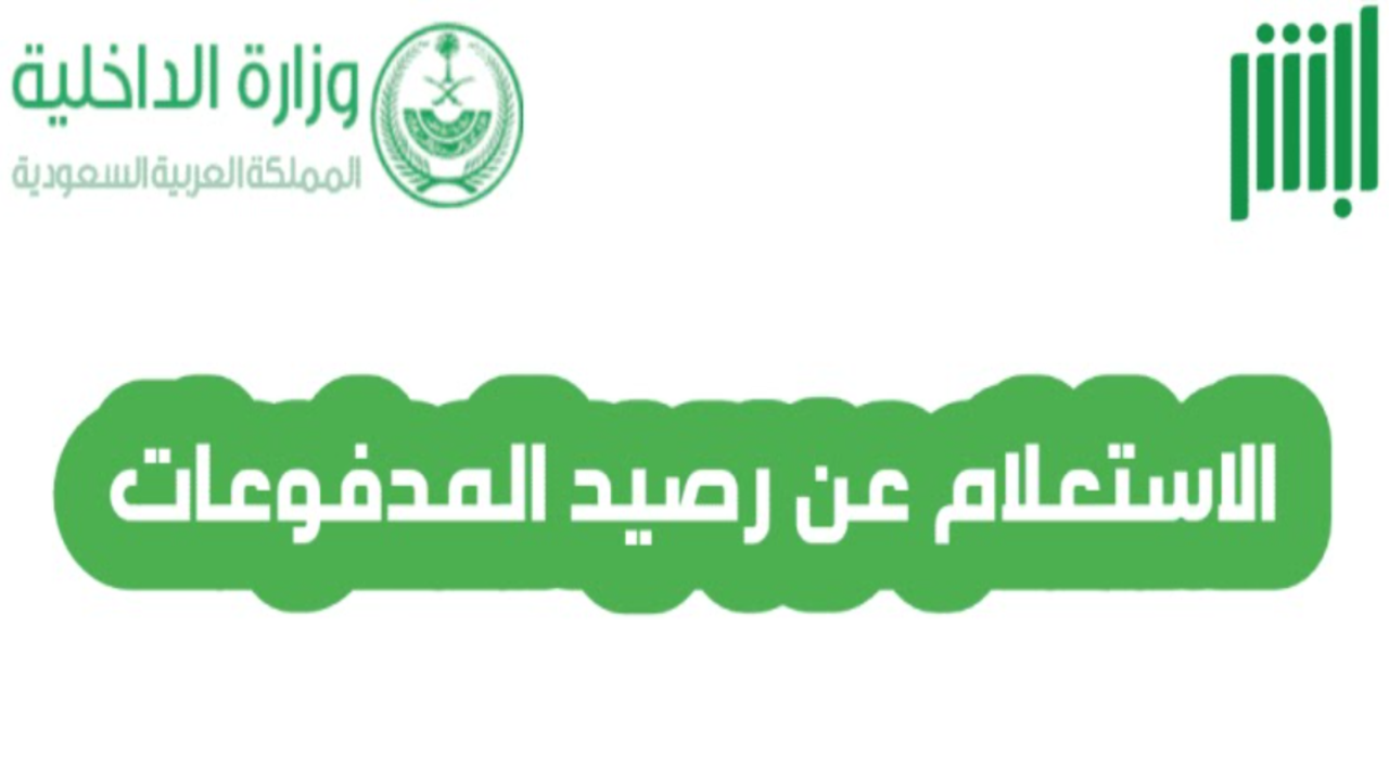 رصيد المدفوعات