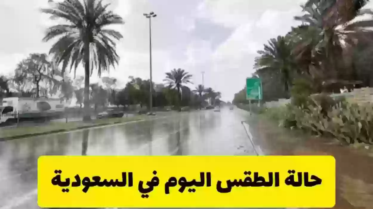 الأرصاد تحذر.. أمطار رعدية ورياح نشطة اليوم على هذه المناطق في السعودية