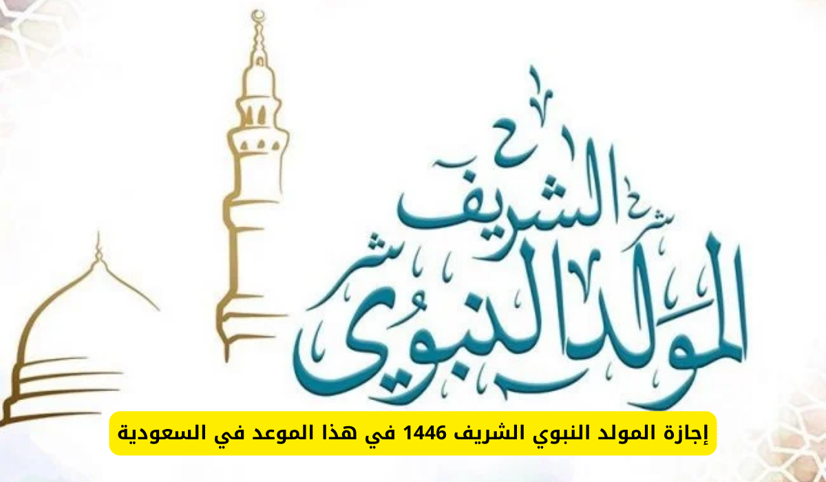 16 08 24 585989642