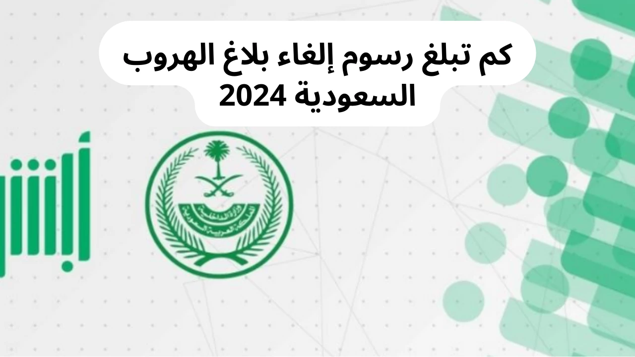 2024 02 15 1708018076