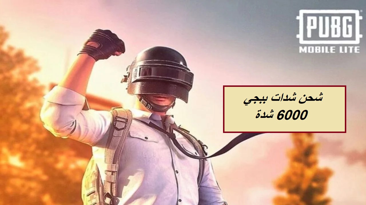 "احصل على 6000 شدة الآن".. طريقة شحن شدات ببجي من الموقع الرسمي بخطوات سهلة