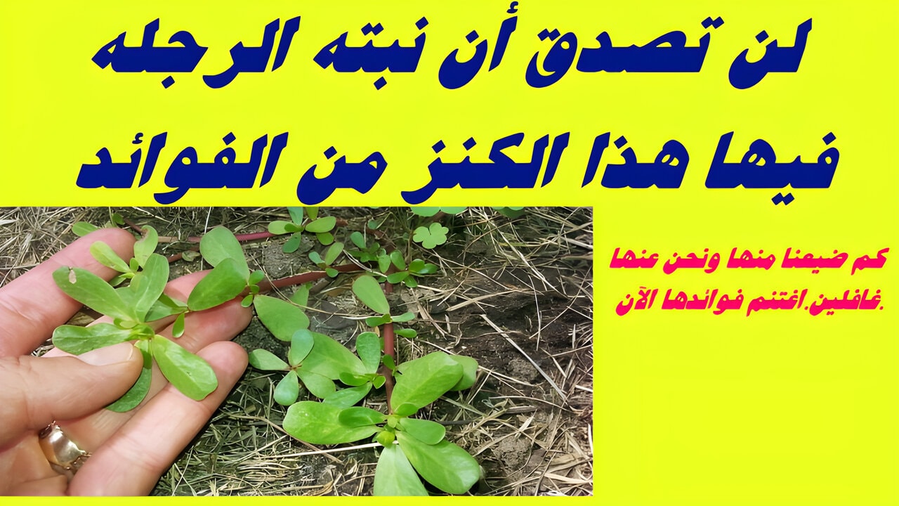 قناع الرجلة للبشرة