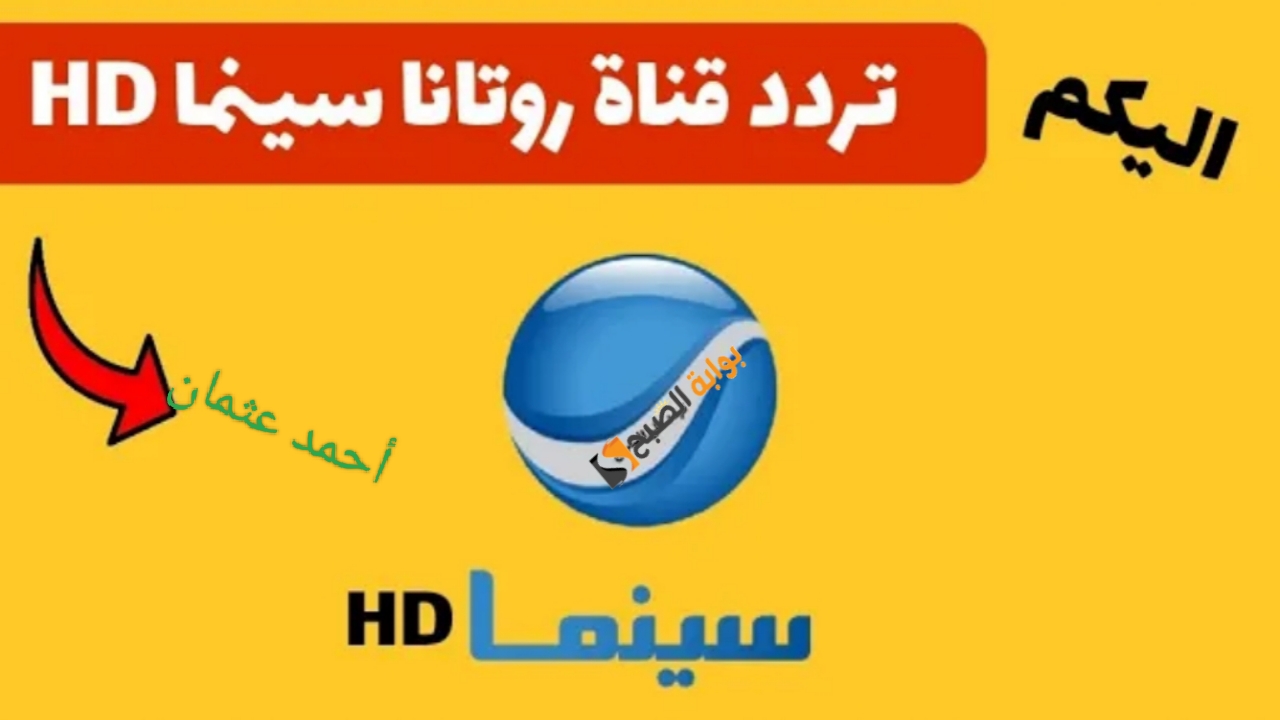 IMG ٢٠٢٤٠٩١٠ ١٣٤٥٥٤